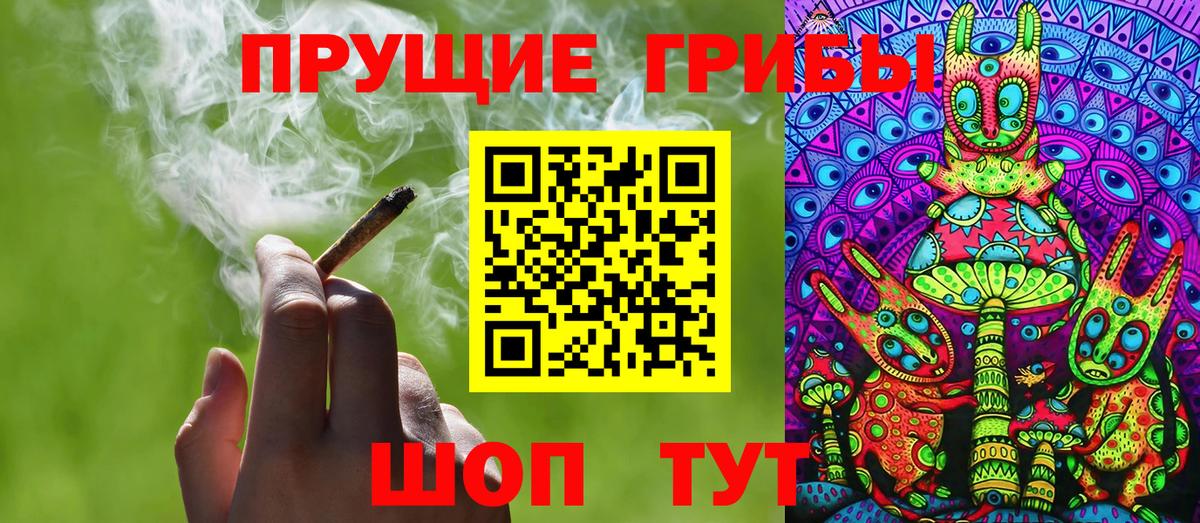 Псилоцибиновые грибы GOLDEN TEACHER Коряжма