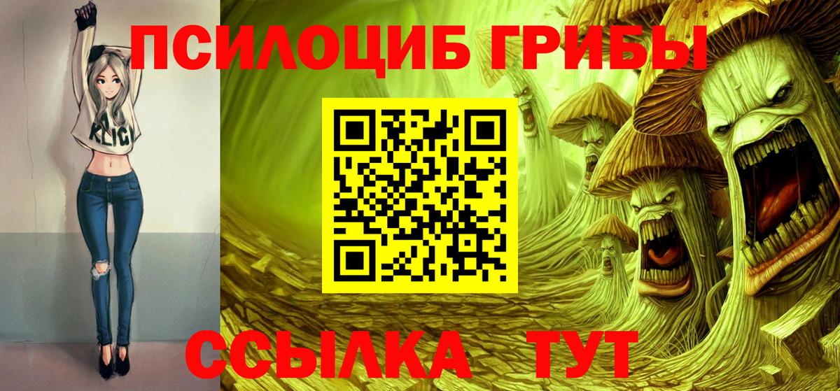 Галлюциногенные грибы прущие грибы  Псилоцибиновые грибы Cubensis  Коряжма  Вход с VPN 